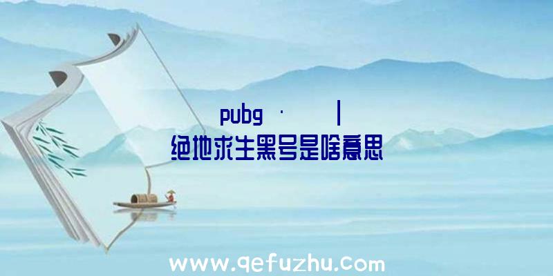 「pubgÆ¤·ôºÚºÅ」|绝地求生黑号是啥意思